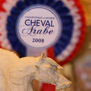 World Championship - The World Championship Paris France, 2008

All photos by Scott Bailey