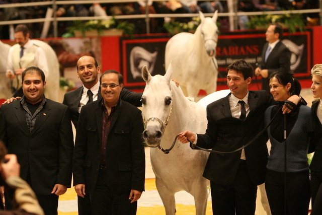Martinique - Class winner Martinique and Bronze Champion - With Dubai Arabian Stud managers Mohamed Al Tawidi and Abdelaziz Al Marazeeq and handler Paolo Capacci