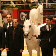 Martinique - Class winner Martinique and Bronze Champion - With Dubai Arabian Stud managers Mohamed Al Tawidi and Abdelaziz Al Marazeeq and handler Paolo Capacci
