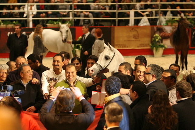 Baarez - Reserve World Champion Imperial Baarez and all his fans