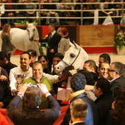 Baarez - Reserve World Champion Imperial Baarez and all his fans