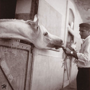 Don - Don feeding a carrot to the beautiful Morafic at
the EAO before he was imported to the USA