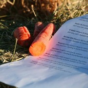 Hopkinson Equine Managenment