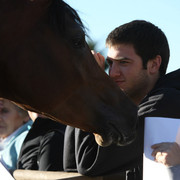 Pomeroy Arabians & RD Arabians