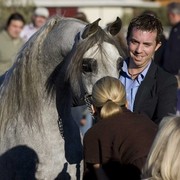 Hopkinson Equine Managenment