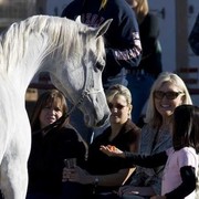 Hopkinson Equine Managenment