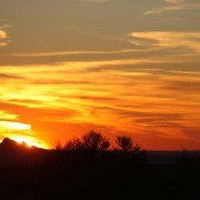 Culbreth Equine Training