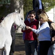 Hopkinson Equine Managenment