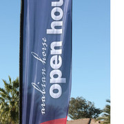 Arabhorse.com Farm Tours