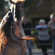 Pomeroy Arabians & RD Arabians