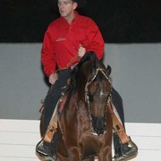 Culbreth Equine Training