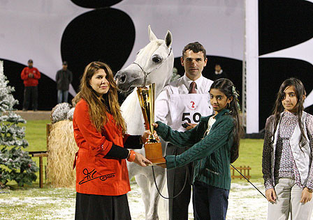 Ajman Show - Res. Champion Mare, Chammur