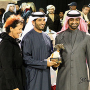 Ajman Show - Leading UAE Horse Award