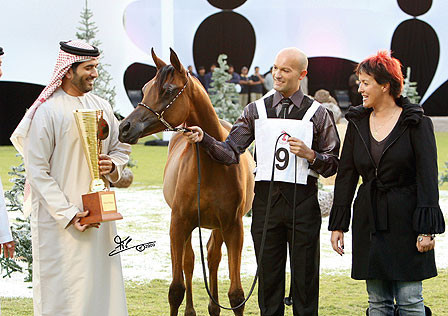 Ajman Show - Champion Filly Al Aryam Suhayla