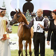 Ajman Show - Champion Filly Al Aryam Suhayla