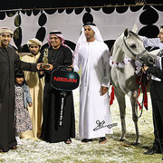 Ajman Show - Champion Mare Lumiar Bint Balzac