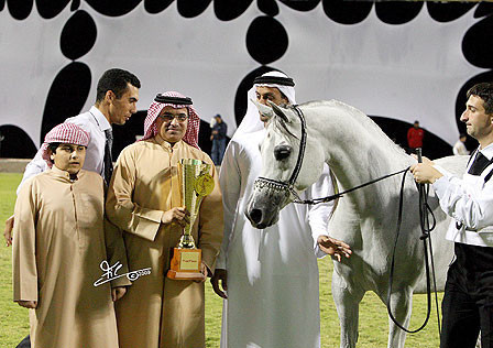 Ajman Show - Champion Mare Lumiar Bint Balzac
