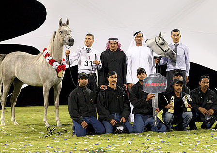 Ajman Show - Dubai Stud, show success