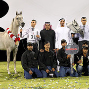 Ajman Show - Dubai Stud, show success