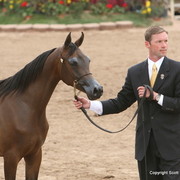 Filly - The beautiful Champion Yearling Filly Valori TRF by DA Valentino with Andy Sellman
