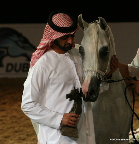 Dubai - Bess-Fa'izah by WH Justice, owned by Ajman Stud

1st place mares 4 - 6 years old