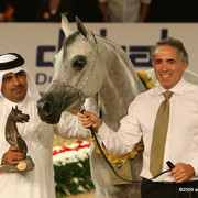 Dubai - Abha Myra, by Marwan Al Shaqab, owned by Al Shaqab Stud

1st place Mares 4 - 6 years old