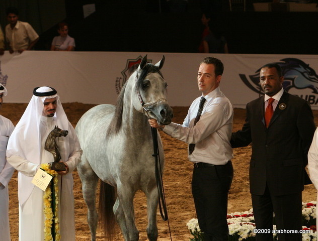 Dubai - El Palacio VO by Al Lahab and out of El Dorada, owned by Al Khalediah Stables

1st place 3 year old colts