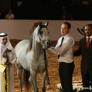 Dubai - El Palacio VO by Al Lahab and out of El Dorada, owned by Al Khalediah Stables

1st place 3 year old colts