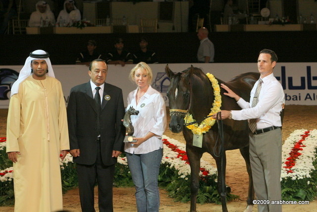 Dubai - Khaleifa by Kubinic, owned by Al Bidayer Stud

4-6 year old Mares