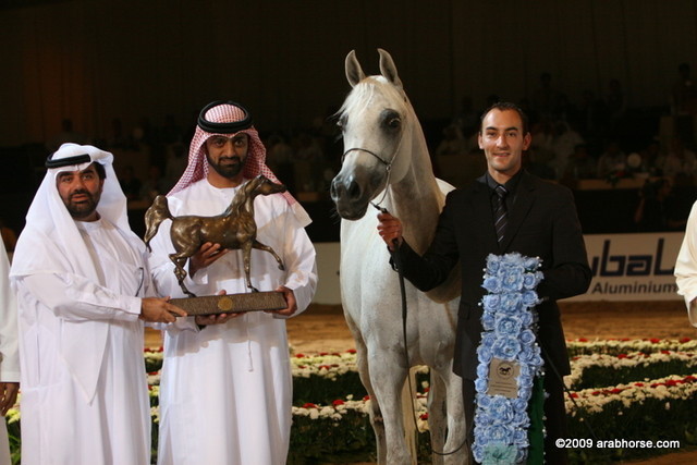 Dubai - Sh. Ammar and Eagleridge Passionata