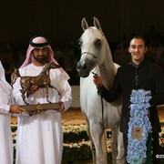 Dubai - Sh. Ammar and Eagleridge Passionata