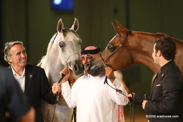 Dubai - Sh. Hamad of Al Shaqab and Dubai Gold Cup winners, Miss El Power & Venetzia