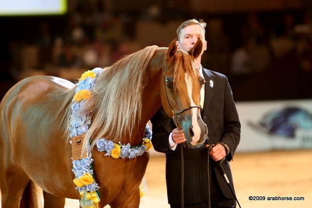 Dubai - True Desire LL, Bronze Jr. filly winner