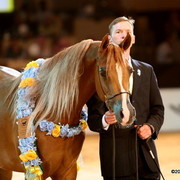 Dubai - True Desire LL, Bronze Jr. filly winner