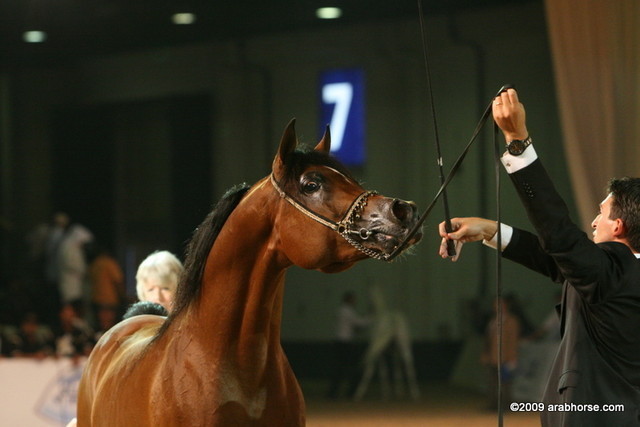 Dubai - Imperial Baareg by Imperial Baarez