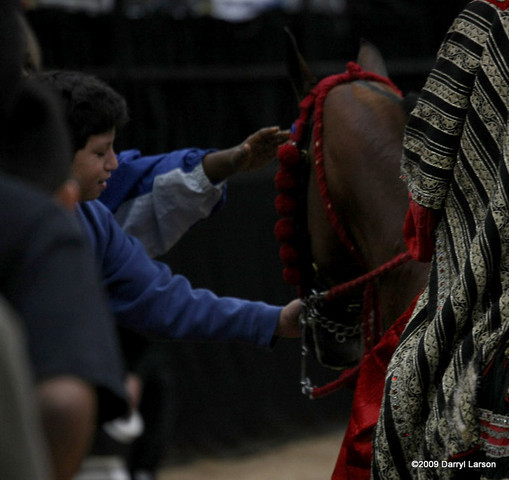 2009 Arabian Breeders World Cup - Thursday