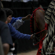 2009 Arabian Breeders World Cup - Thursday