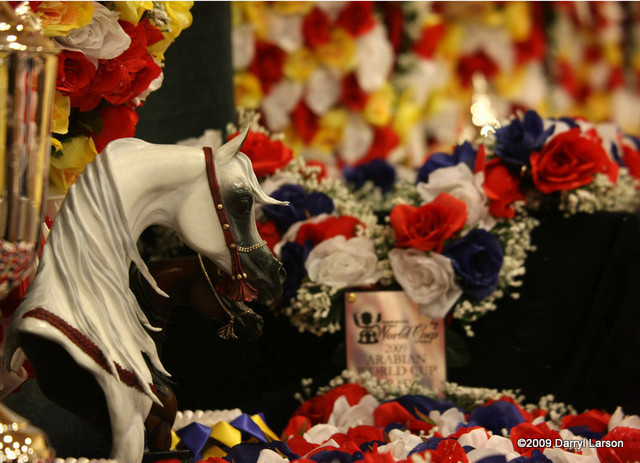 2009 Arabian Breeders World Cup - Thursday