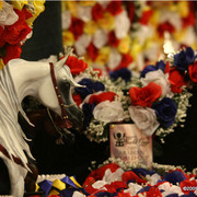 2009 Arabian Breeders World Cup - Thursday