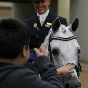2009 Arabian Breeders World Cup - Thursday