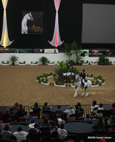 2009 Arabian Breeders World Cup - Thursday