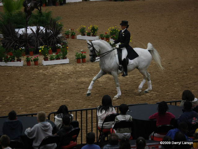 2009 Arabian Breeders World Cup - Thursday