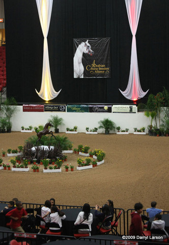 2009 Arabian Breeders World Cup - Thursday