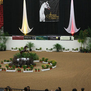 2009 Arabian Breeders World Cup - Thursday