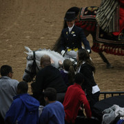 2009 Arabian Breeders World Cup - Thursday