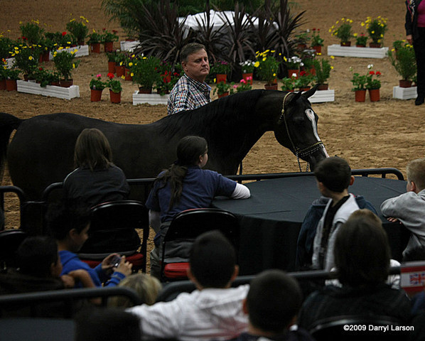 2009 Arabian Breeders World Cup - Thursday