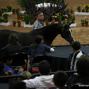 2009 Arabian Breeders World Cup - Thursday