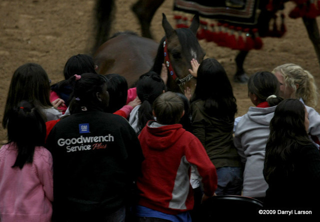 2009 Arabian Breeders World Cup - Thursday