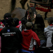 2009 Arabian Breeders World Cup - Thursday