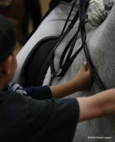 2009 Arabian Breeders World Cup - Thursday